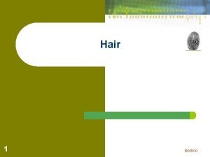 Hair 1 Bertino History of Hair Analysis 1