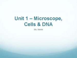 Unit 1 Microscope Cells DNA Ms Martel Microscopes