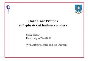 Hard Core Protons softphysics at hadron colliders Craig