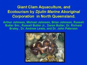 Giant Clam Aquaculture and Ecotourism by Djulin Marine