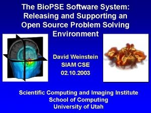 The Bio PSE Software System Releasing and Supporting