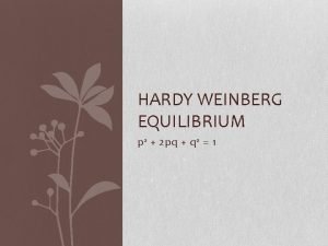 HARDY WEINBERG EQUILIBRIUM p 2 2 pq q