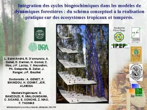 Intgration des cycles biogochimiques dans les modles de