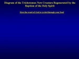 Diagram of the Trichotomus New Creature Regenerated by