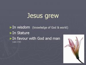 Jesus grew in wisdom and knowledge