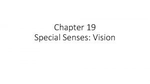 Chapter 19 Special Senses Vision Fig 19 9