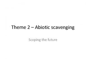 Theme 2 Abiotic scavenging Scoping the future 1