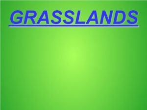 GRASSLANDS What are grasslands Grasslands are wide expanses