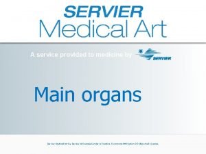 Servier medical art
