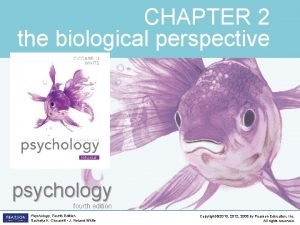 CHAPTER 2 the biological perspective psychology fourth edition