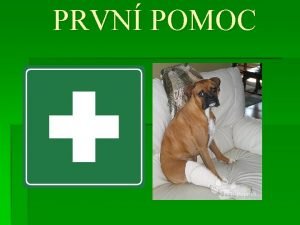 PRVN POMOC Vypracovaly Hana Vesel Jitka vestkov Martina