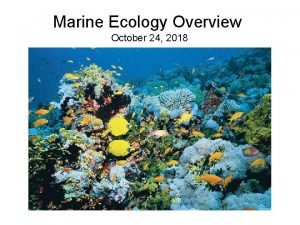 Marine Ecology Overview October 24 2018 ECOLOGY From