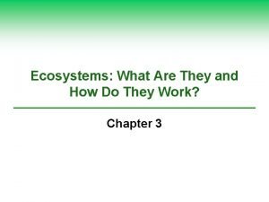 Ecosystems What Are They and How Do They
