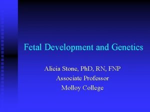 Fetal Development and Genetics Alicia Stone Ph D