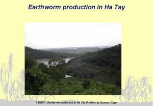 Earthworm production in Ha Tay VGRRC Earthworm production