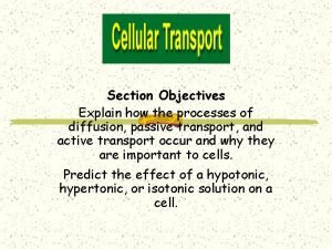 Cellular transport ppt