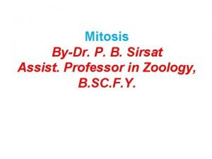 Do centromeres split in mitosis Do centromeres split in mitosis