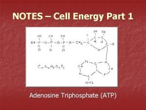 NOTES Cell Energy Part 1 Adenosine Triphosphate ATP