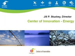 Jill P Stuckey Director Center of Innovation Energy