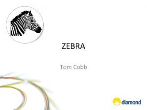 ZEBRA Tom Cobb What is a zebra Zebras