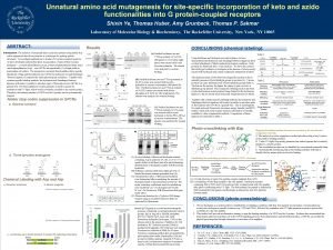 Unnatural amino acid mutagenesis for sitespecific incorporation of