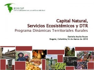 Capital Natural Servicios Ecosistmicos y DTR Programa Dinmicas