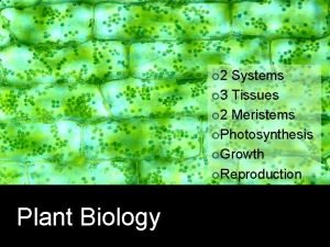 2 Systems 3 Tissues 2 Meristems Photosynthesis Growth