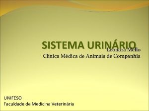 SISTEMA URINRIO Leonora Mello Clnica Mdica de Animais