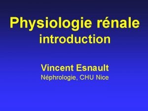 Physiologie rnale introduction Vincent Esnault Nphrologie CHU Nice