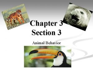 Learned behaviors in humans