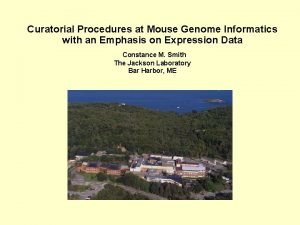 Curatorial Procedures at Mouse Genome Informatics with an