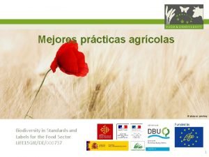 Rotación de cultivos Rotación de cultivos