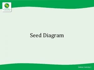 Seed coat clipart