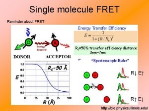 Single molecule FRET Reminder about FRET R E