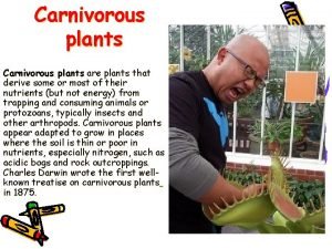 Carnivorous plants are plants that derive some or