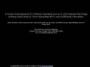 A Human Immunoglobulin G 1 Antibody Originating from