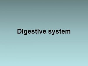 Digestive system The digestive system consists of the