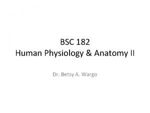 BSC 182 Human Physiology Anatomy II Dr Betsy
