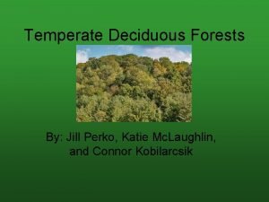 Where is the temperate forest located