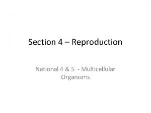 Section 4 Reproduction National 4 5 Multicellular Organisms