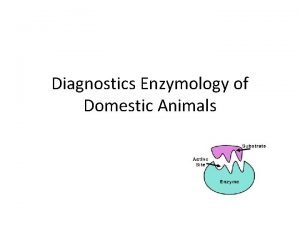 Diagnostics Enzymology of Domestic Animals INTRODUCTION Enzyme Biological
