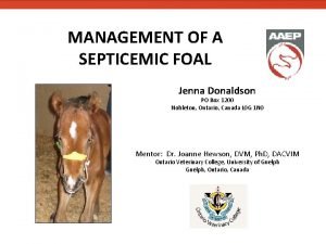MANAGEMENT OF A SEPTICEMIC FOAL Jenna Donaldson PO