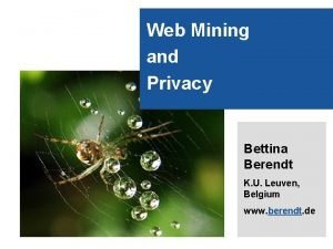 1 Web Mining and Privacy Bettina Berendt K