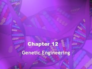 Chapter 12 Genetic Engineering 12 1 Modifying the