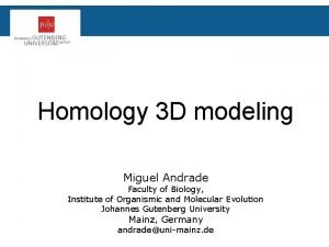 Homology 3 D modeling Miguel Andrade Faculty of