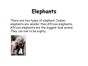Elephants There are two types of elephant Indian