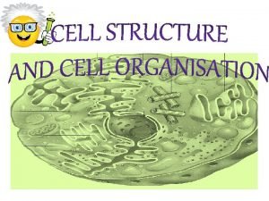 What is cell Cell is the basic unit