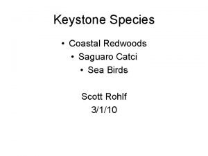 Keystone Species Coastal Redwoods Saguaro Catci Sea Birds