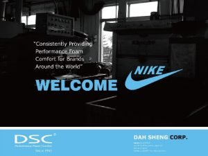 Introduction Who is DSC Performance Foam Manufacture Compounding