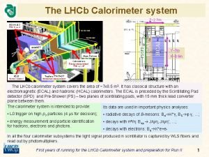 The LHCb Calorimeter system Z2 7 m RICH
